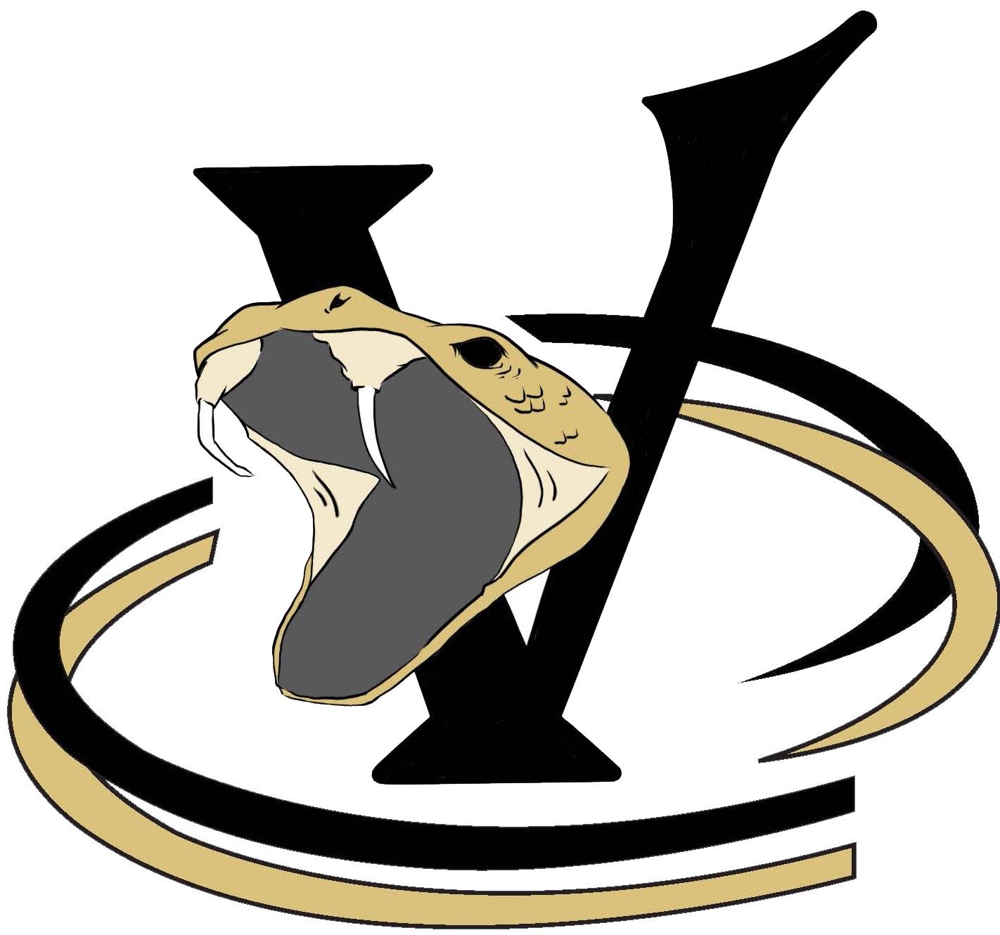  Verrado Vipers logo